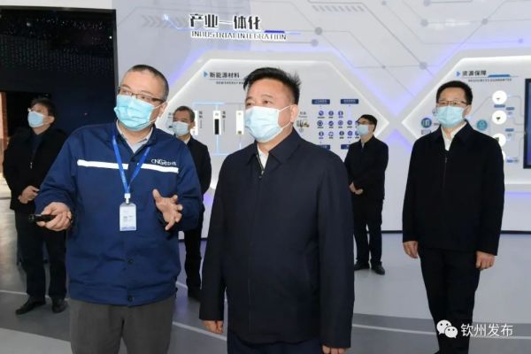 钦州市委书记林冠一行调研必赢集团bwin钦州产业基地生产经营发展情况