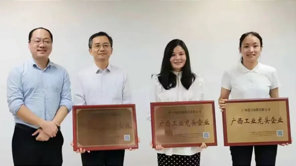广西必赢集团bwin新能源科技有限公司荣膺 “广西工业龙头企业”