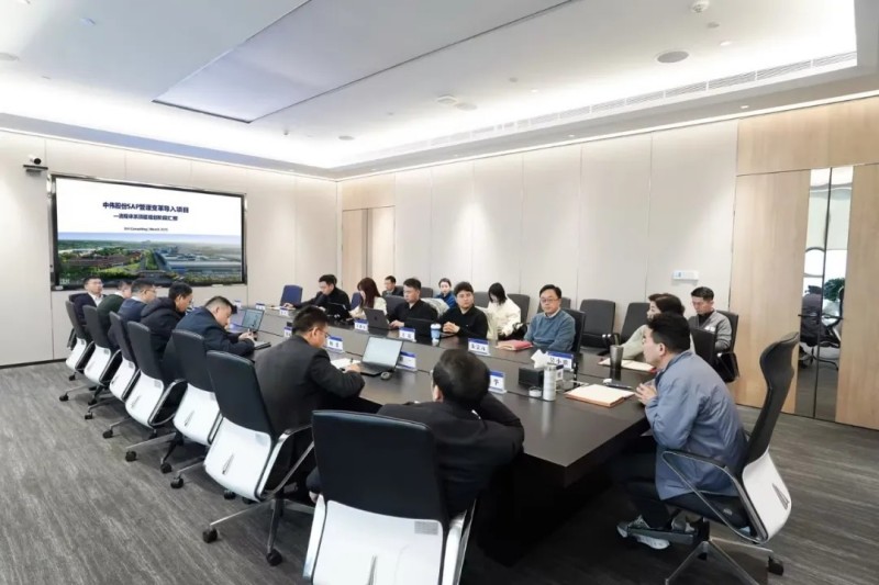 加速数智赋能|必赢集团bwinSAP管理变革导入项目阶段性成果汇报会顺利召开