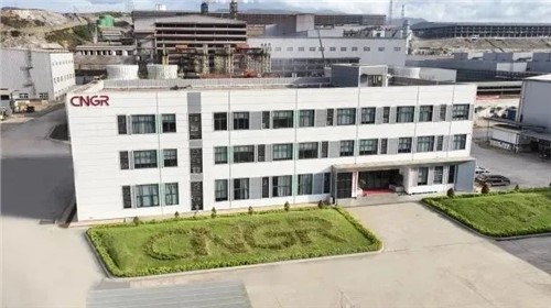 必赢集团bwin中青与德邦项目通过RMI ESG审核