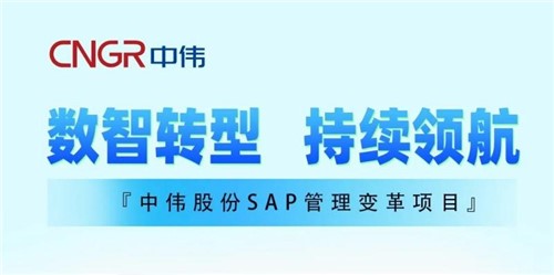 一图读懂｜必赢集团bwinSAP管理变革